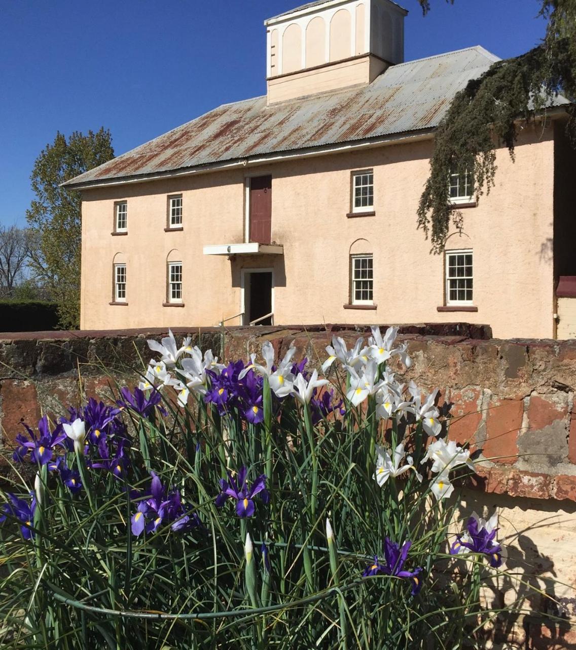 Woolmers Estate Longford エクステリア 写真
