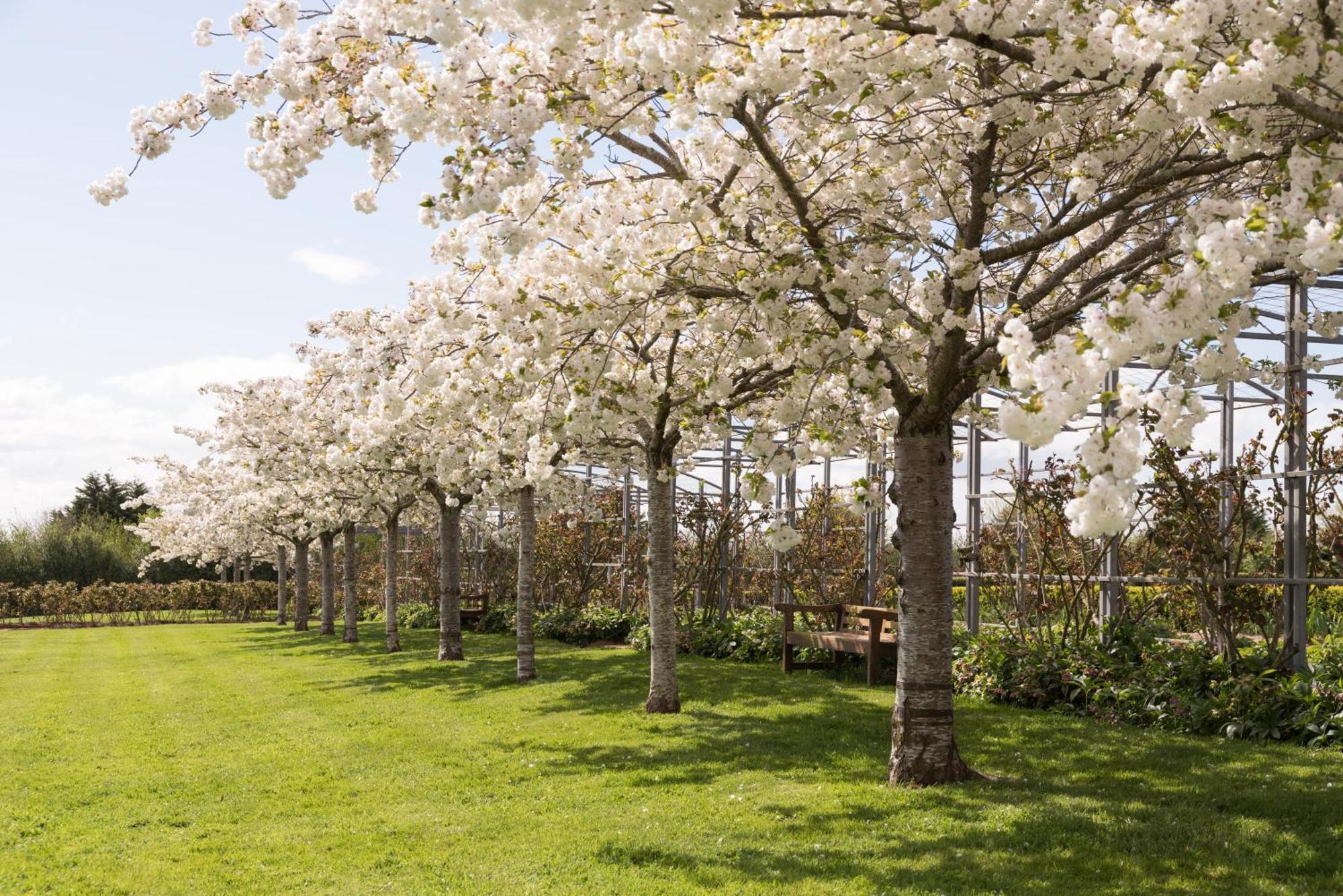 Woolmers Estate Longford エクステリア 写真