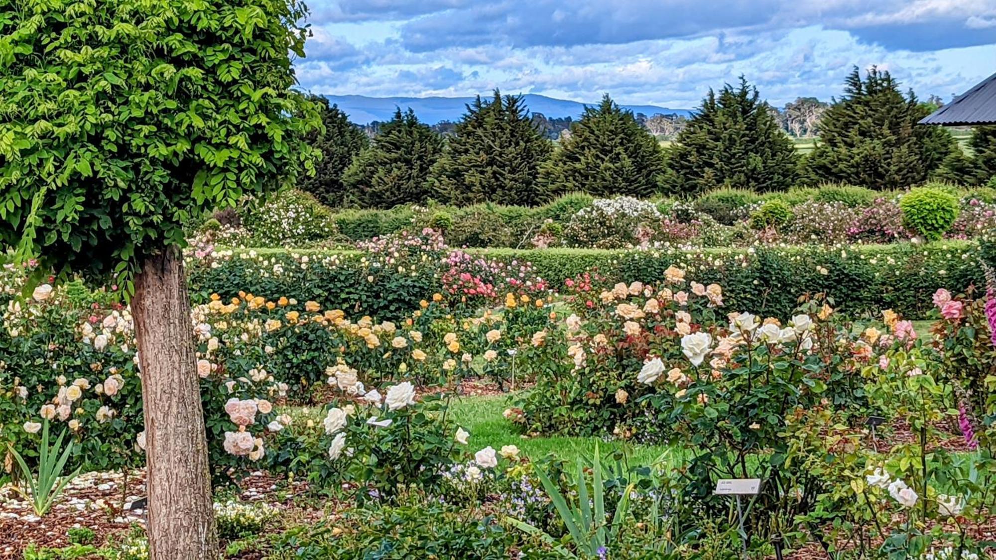 Woolmers Estate Longford エクステリア 写真