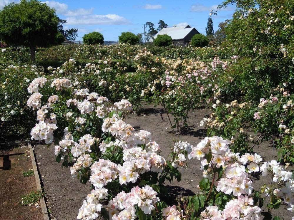 Woolmers Estate Longford エクステリア 写真